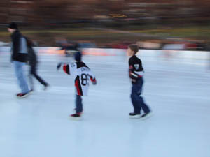 Frog Pond3